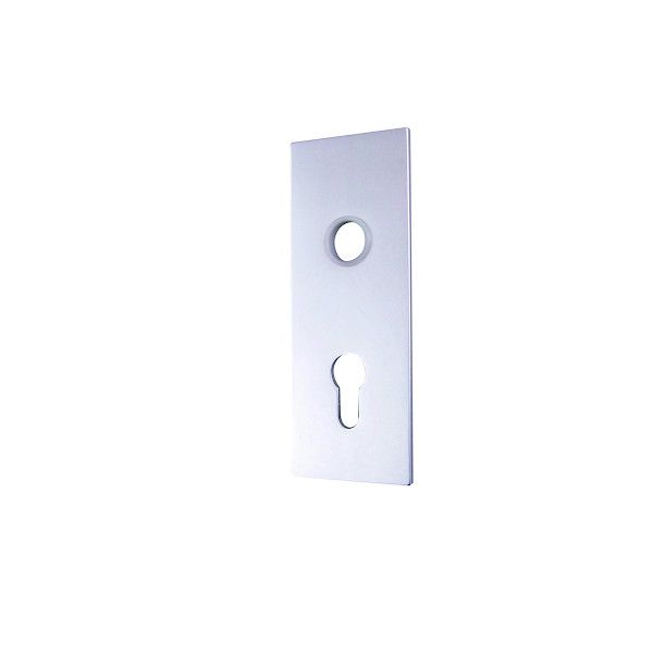 Plaque de propreté pour serrure de porte de garage et rideau métallique 01657PLQ - WSS