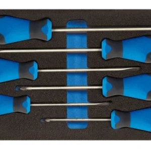 Insert GEDORE CT avec assortiment jeu de tournevis PZ 2309149 se fournir à bas prix