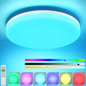 NETTLIFE Plafonnier LED Ø 28 cm Lampe de chambre avec télécommande 24 W Lampe de cuisine RGB Lampe de salle de bain Lampe...