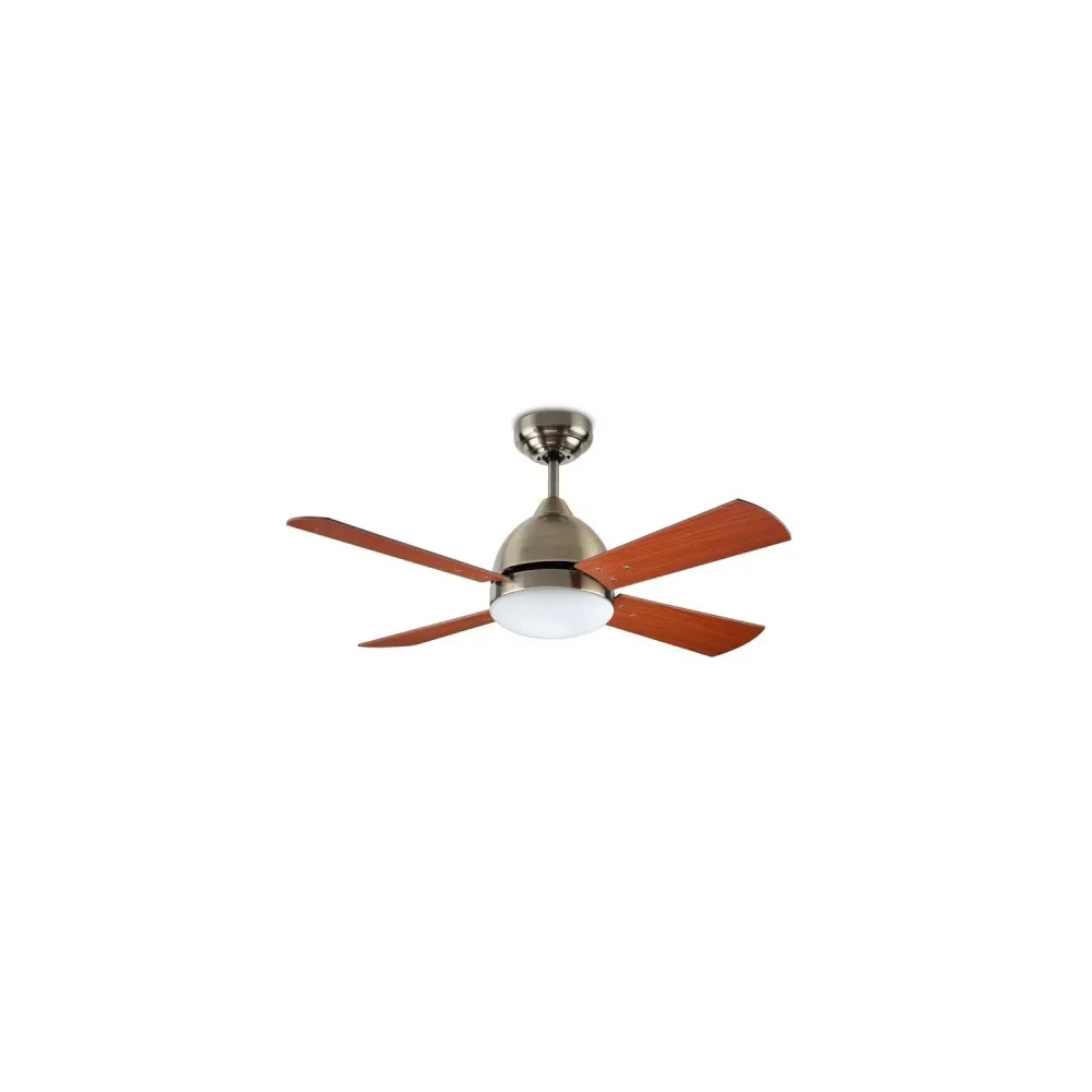 Ventilateur de plafond Borneo patiné avec pales réversibles et moteur AC 106.6 cm