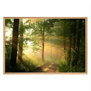 Tableau mural mat encadré rayon de soleil 65x97 cm