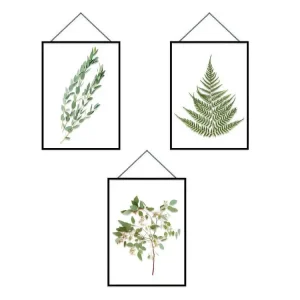 Décoratif Premium Autocollant Mural cadres Herbiers