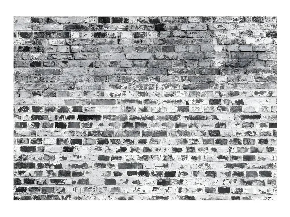 Papier peint intissé Fonds et Dessins Border Greynesses : Taille - 350 x 245 cm