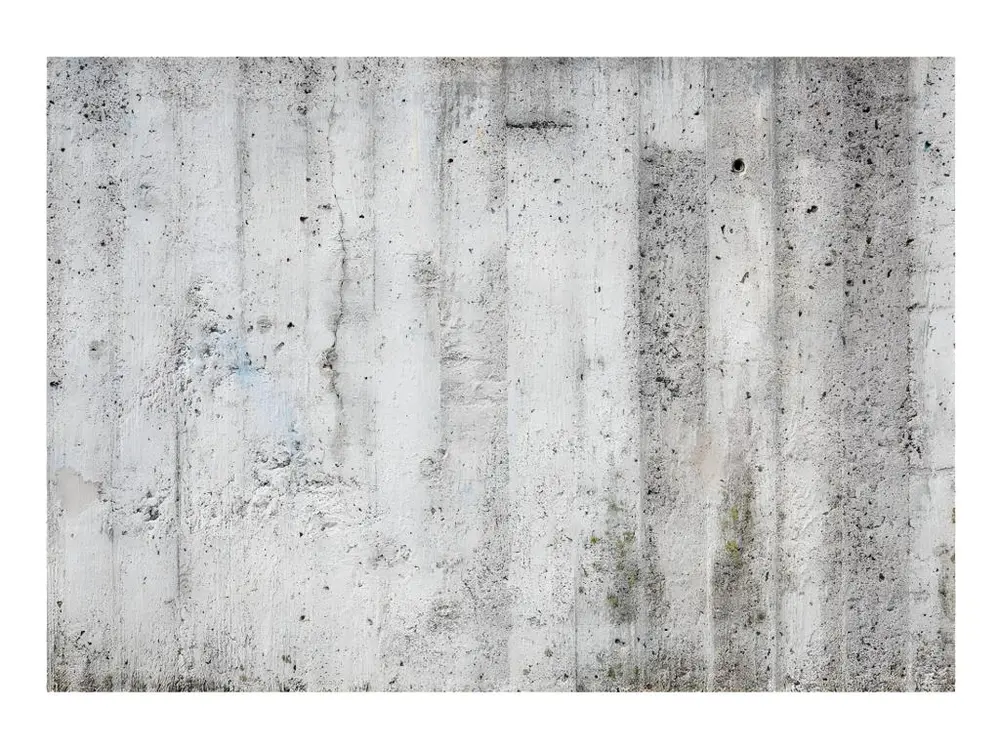 Papier peint intissé Fonds et Dessins Grey Emperor : Taille - 200 x 140 cm avec spatule intégrée