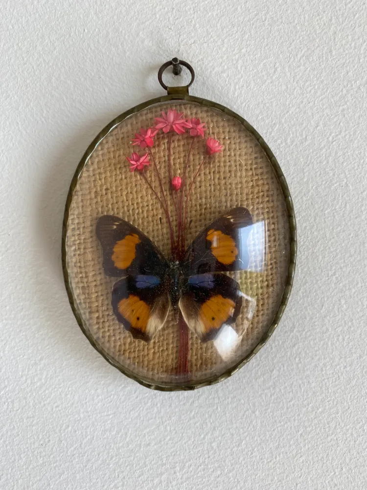 Cadre verre bombé papillon pour chambre d'enfant