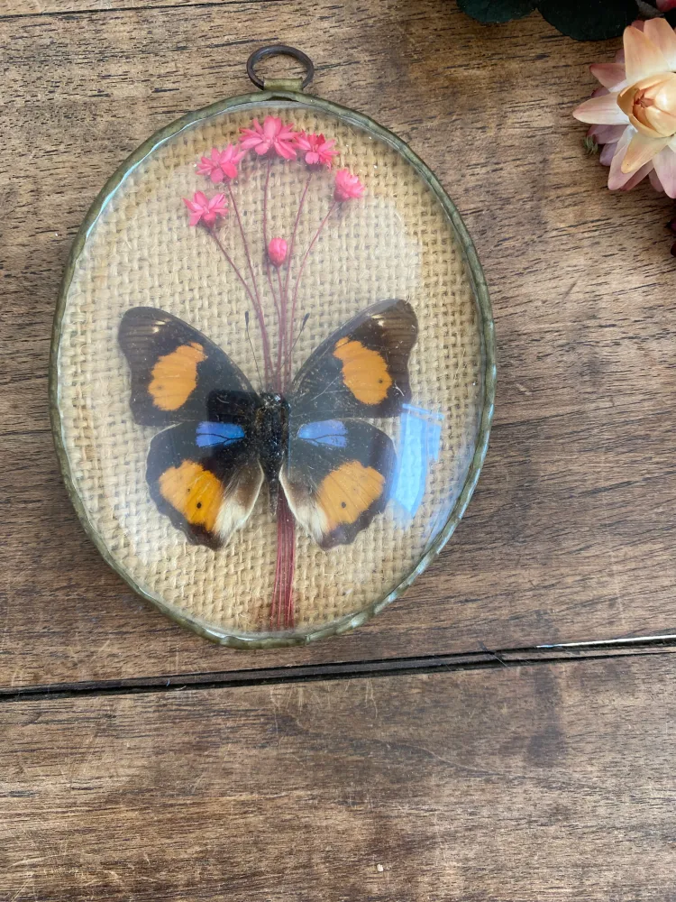 Cadre verre bombé papillon pour chambre d'enfant
