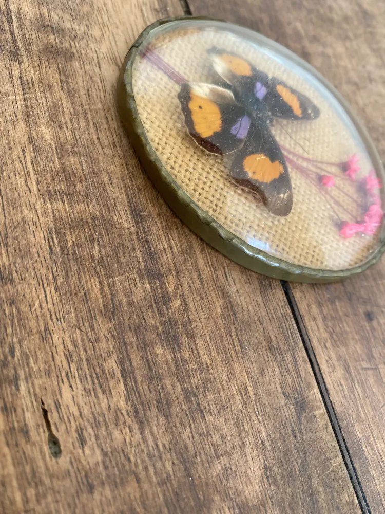 Cadre verre bombé papillon pour chambre d'enfant