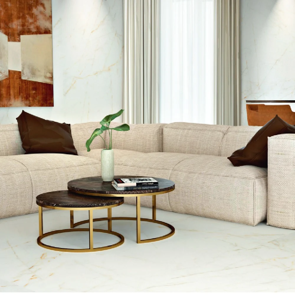 Carrelage Intérieur Trevi 60x120 Effet Marbre