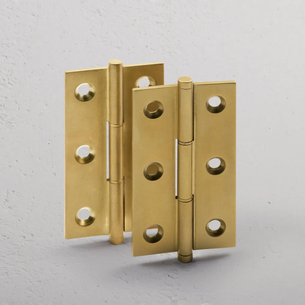 Inox A2 Cedar Paire de Charnières pour Meubles - Laiton Âgé