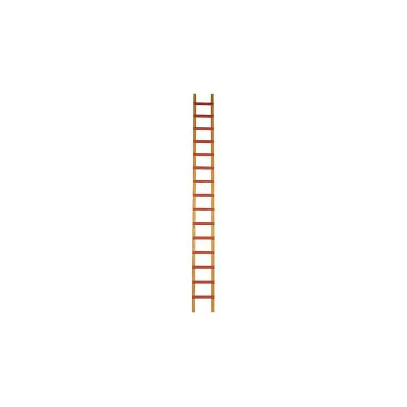 Échafaudage roulant Échelle de toit bois CENTAURE
