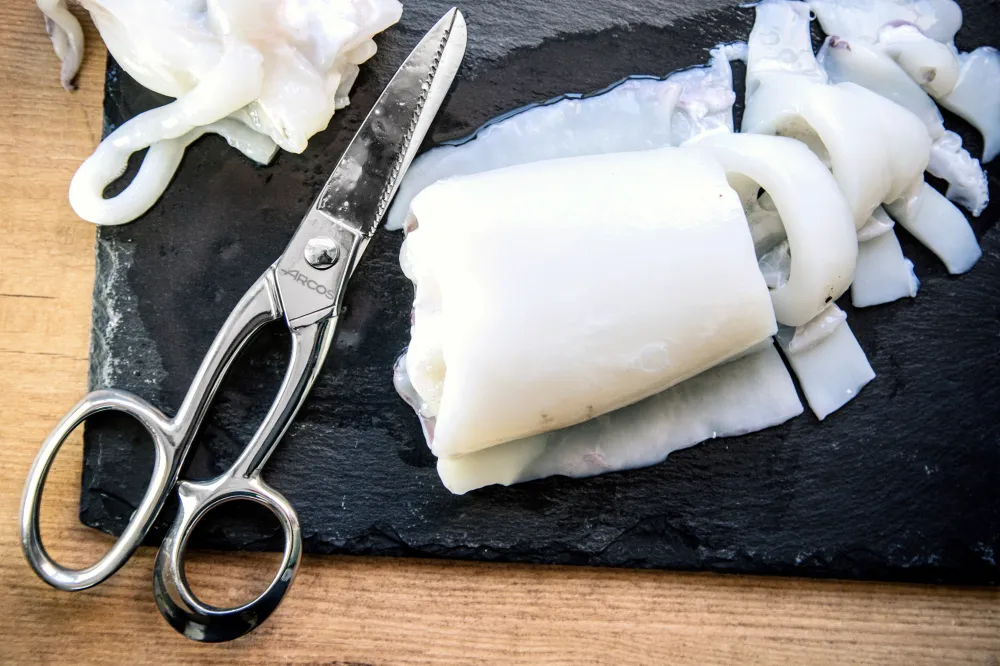 Cisaille à Volailles Inox pour Bricolage Intensif