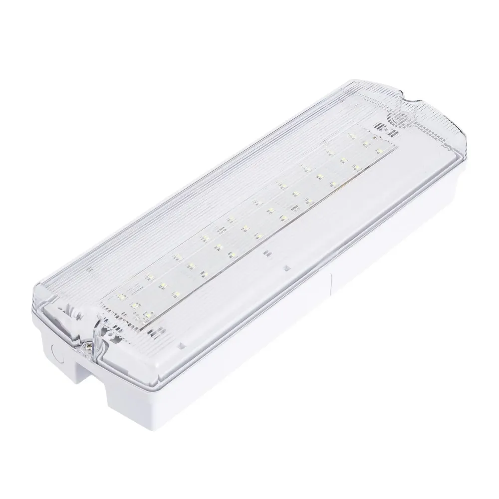 Clairage LED de secours encastré 200lm continu/alternatif étanche IP65