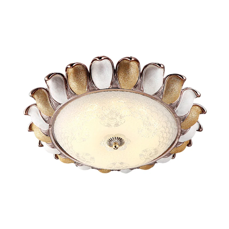 14 "/ 18" W LED verre dépoli éclairage encastré corée pays or fleur chambre encastré lampe Clearhalo