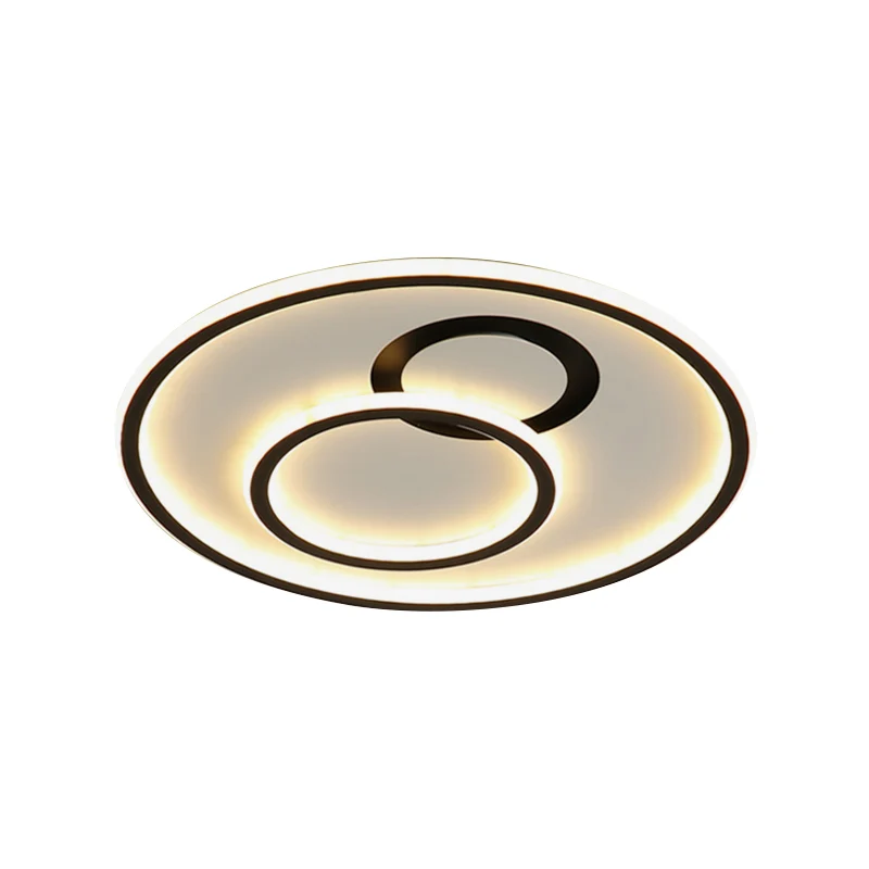 Luminaire encastré à LED en acrylique minimaliste, cercle extra fin, pour chambre à coucher, 16"/19,5" de diamètre, noir C...