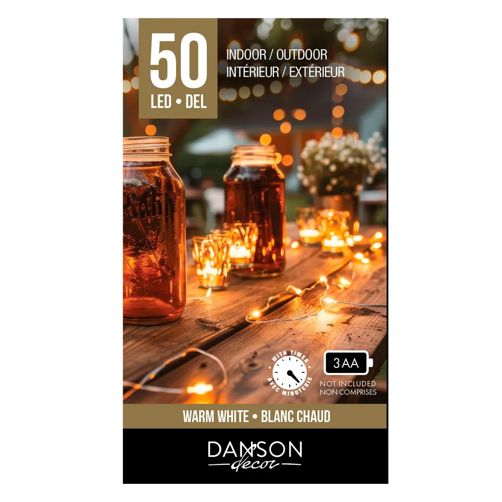 Jeu de 50 microlumières à DEL Danson Décor, blanc chaud