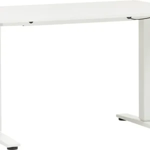 ECCO Light_Pult