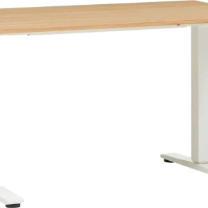ECCO Light_Pult