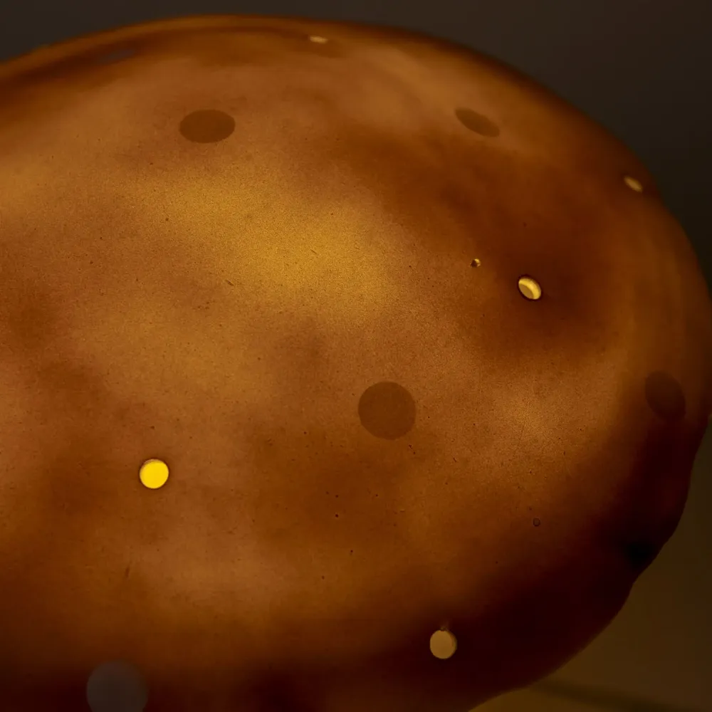 Lampe champignon moyenne, chocolat Egmont Toys