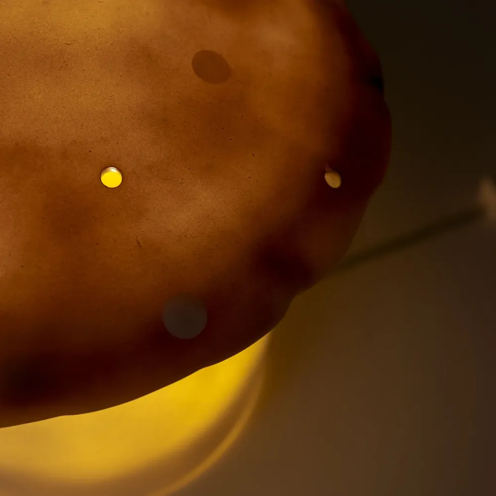 Lampe champignon moyenne, chocolat Egmont Toys