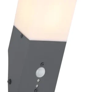 Applique murale extérieure Globo Lighting Herri en acier inoxydable anthracite E27