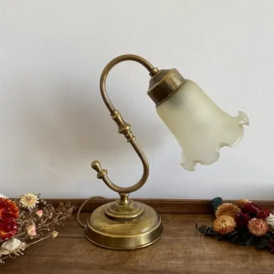 Lampe col de cygne en laiton