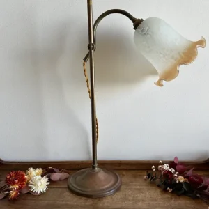 Lampe col de cygne verre tulipe soufflé structure en laiton