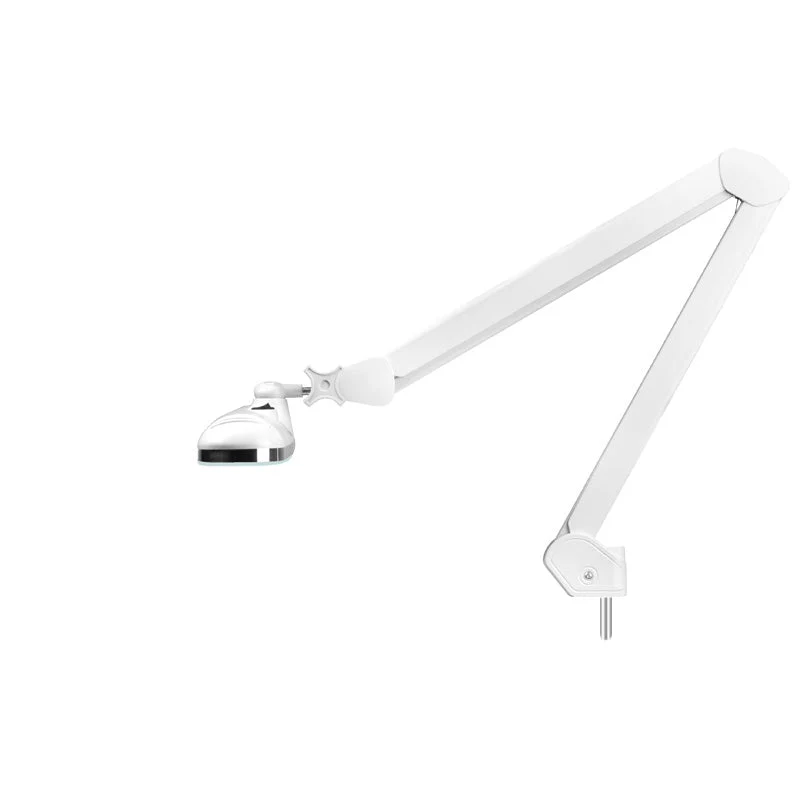Lampe d'atelier LED élégante 801-l avec une intensité lumineuse blanche régulière