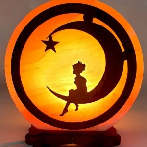 Lampe de Sel Petit Prince sur Lune 5KG
