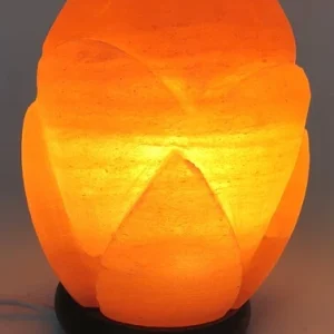 Lampe de Sel Himalaya Tulipe 3KG L'AURA
