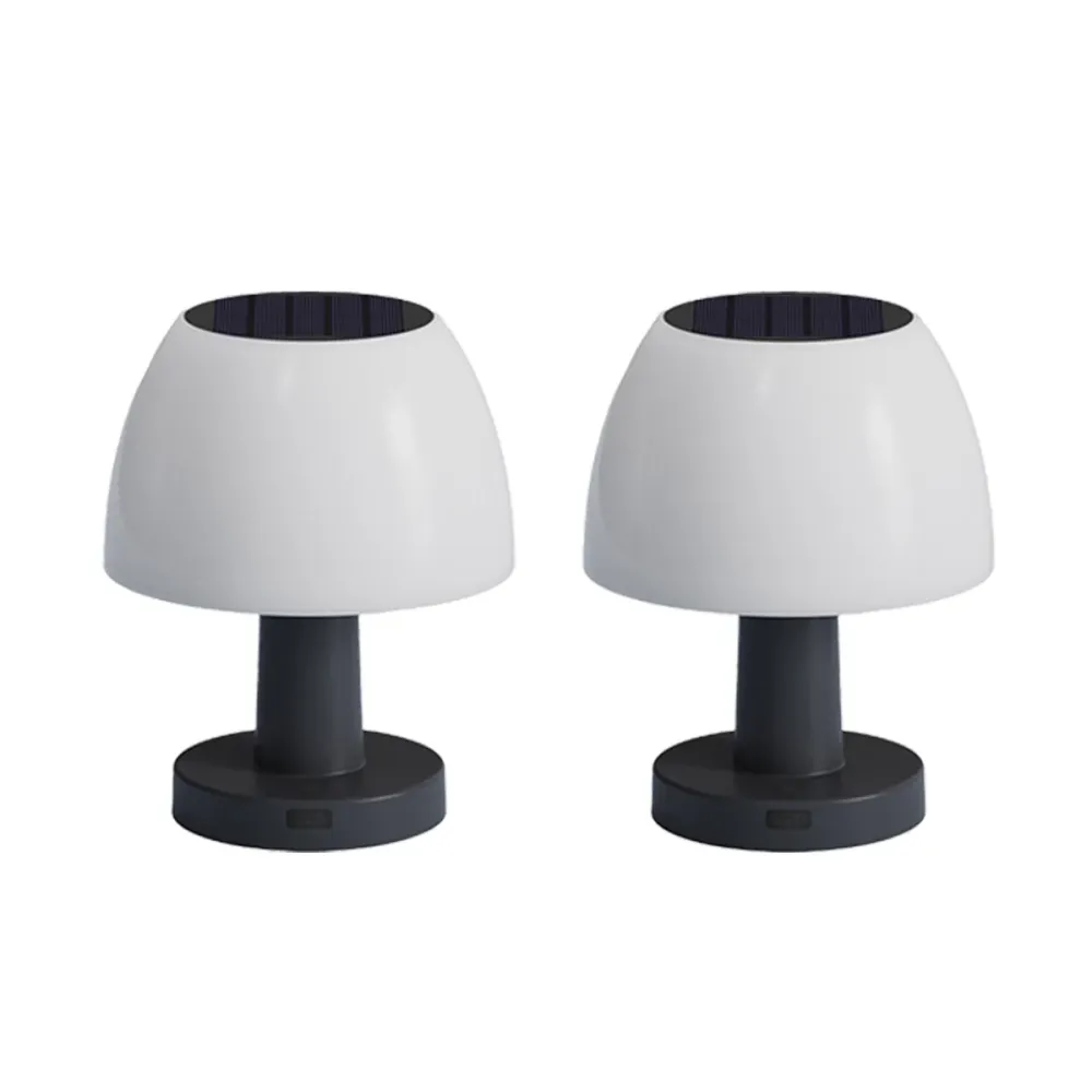 Lot de 2 Lampe de table solaire LED blanc 4 intensités LUMINA H13,5cm Lumisky