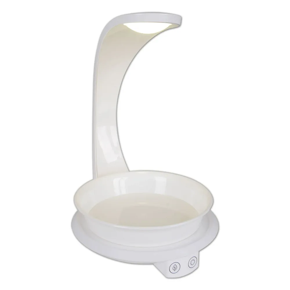 Lampe de table LED Plante Näve h: 24 cm Naeve