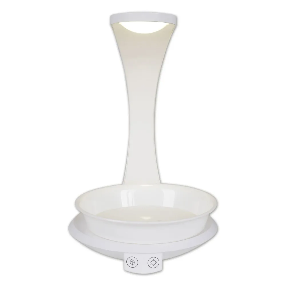 Lampe de table LED Plante Näve h: 24 cm Naeve