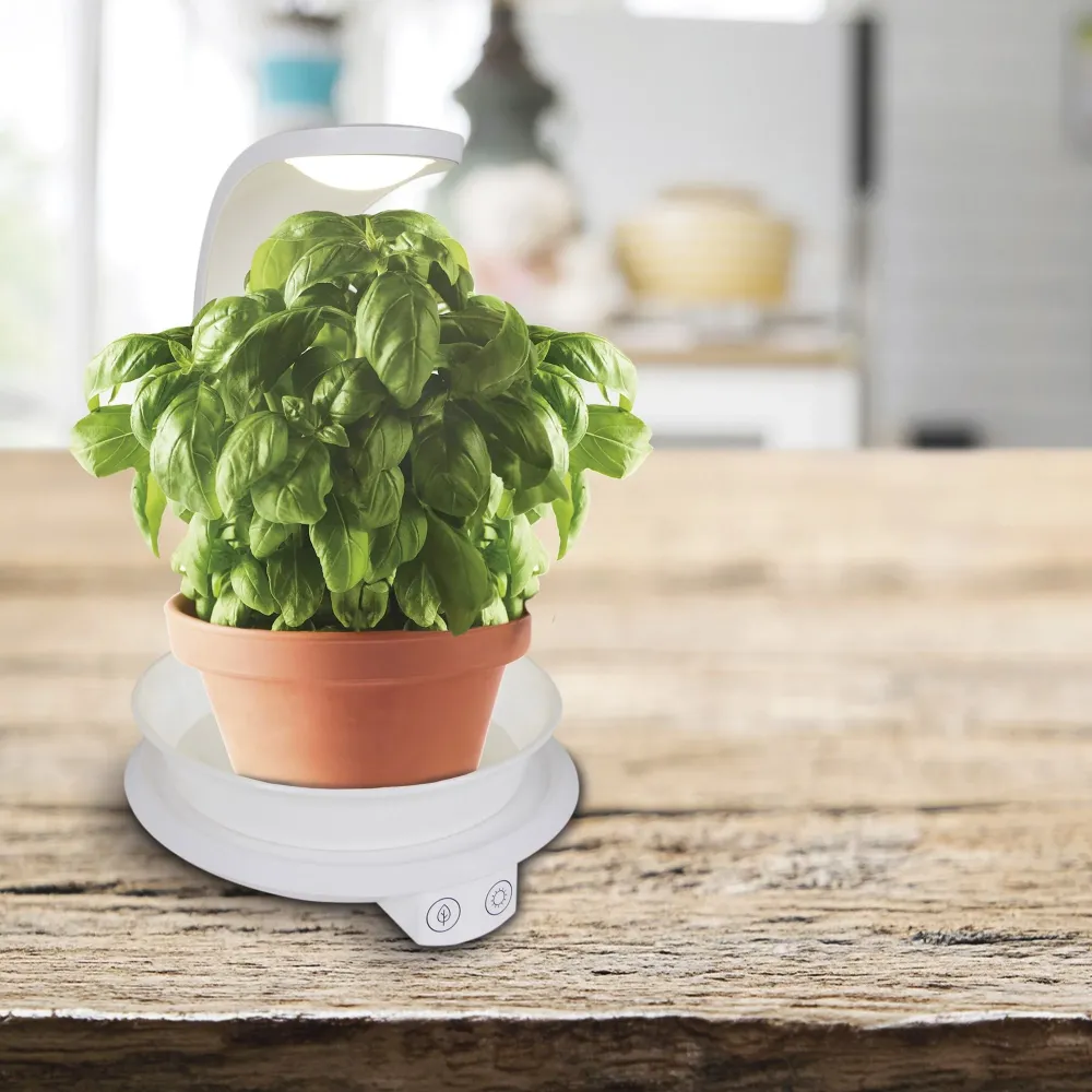 Lampe de table LED Plante Näve h: 24 cm Naeve