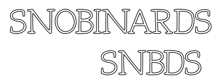 Néon personnalisé: SNOBINARDS SNBD...
