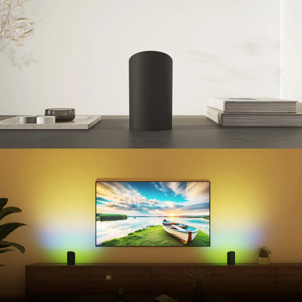 Philips Hue White and Color Ambiance Lámpara de mesa Play Wall washer negro RGBW 20W (2 uds) 8720169385993