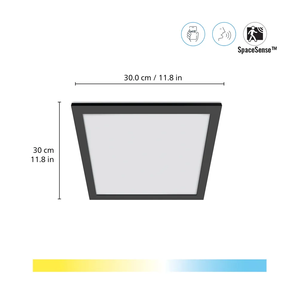 WiZ Plafón Negro 12W 1000lm 55491700 Philips