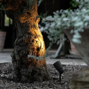 Projecteur Sol Ealing - Bronze