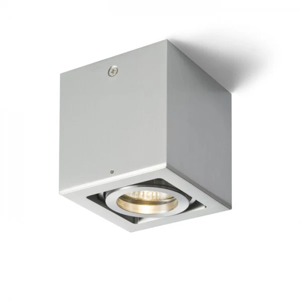 Spot de plafond Rendl BERIT 1 x GU10 50W