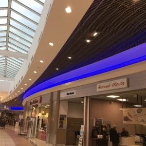 Ruban de 3 m led 120 leds 5050 / m IP 67 24 V bleu