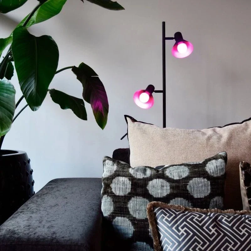 Ampoule LED E27 A60 8.5W RGBW avec Télécommande Silumen