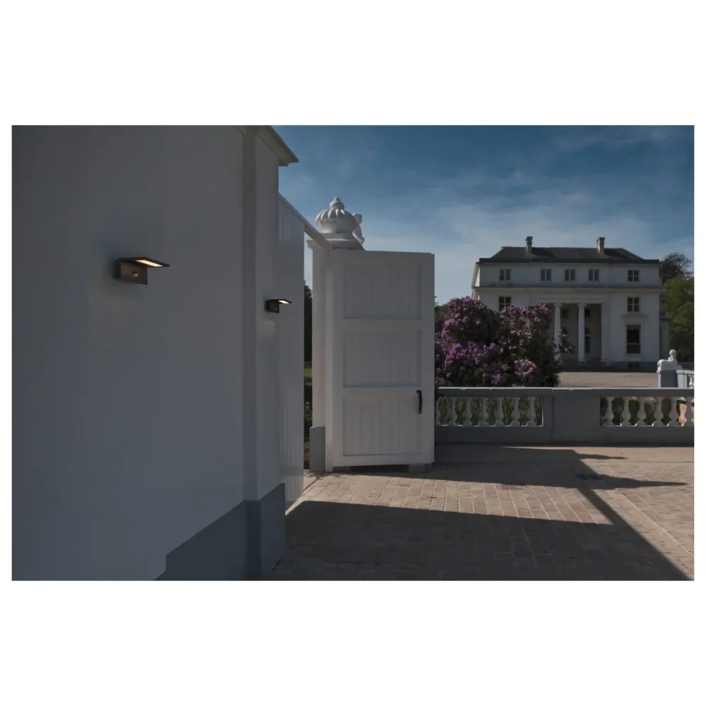 SLV Lampe d'extérieur ANGOLUX SENSOR IP44 Anthracite