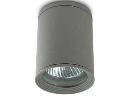 Spot plafond extérieur TASA anthracite