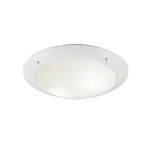 Trio Camaro Outdoor ceiling light made plastic mat white R60502031