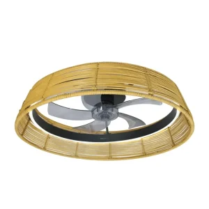 Ventilateur de plafond écologique moteur DC éclairage LED télécommande Cecotec