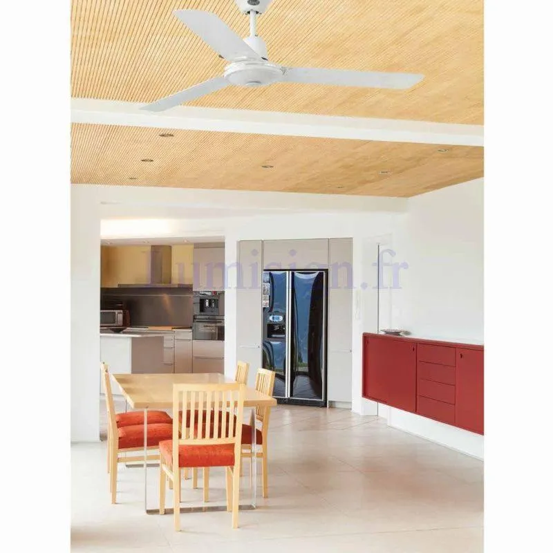 Ventilateur de plafond ECO INDUS