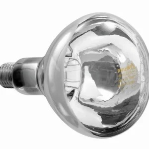 Ampoule infrarouge Philips pour lampe chauffante - Verre transparent vivier-mcp