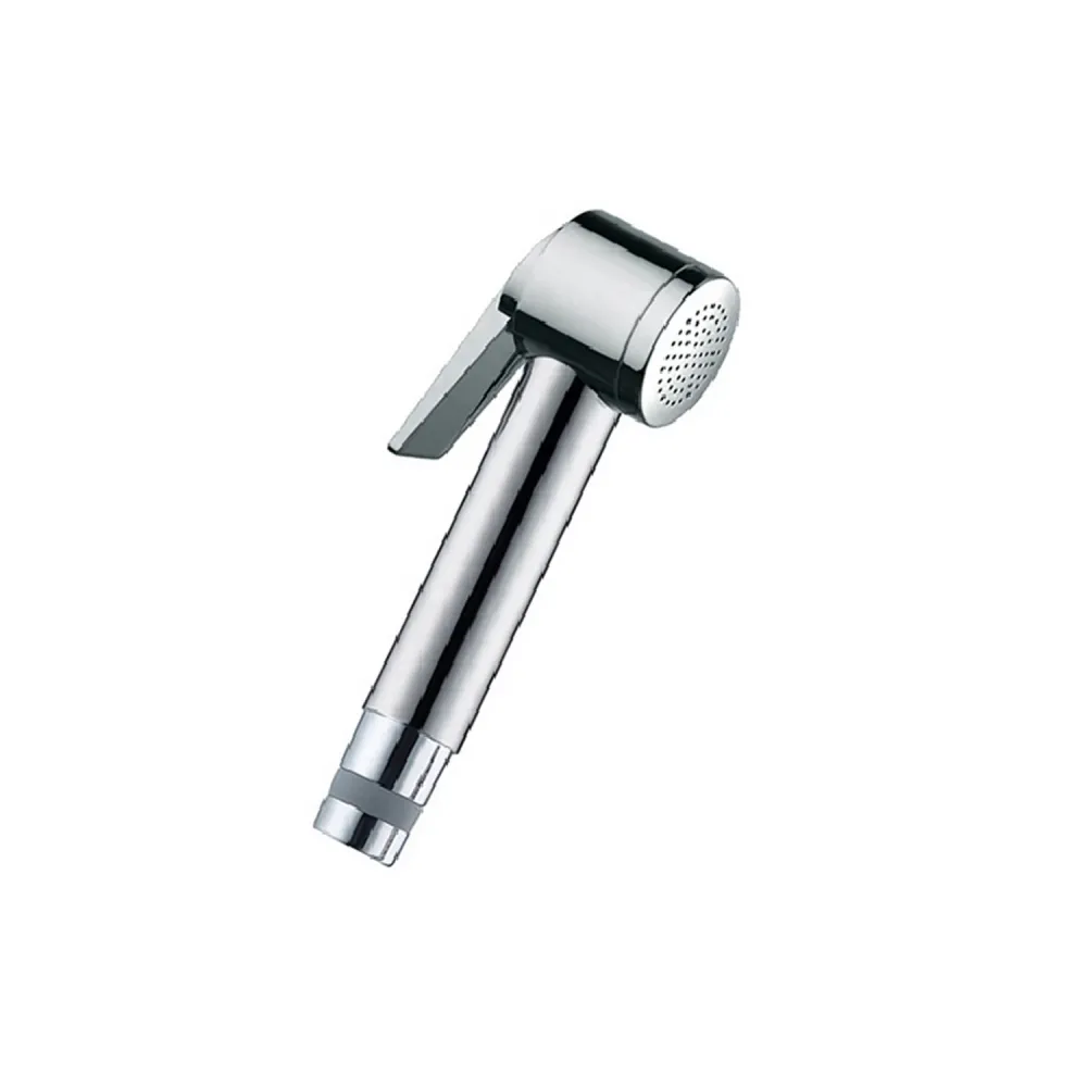 Flotteur de réservoir Douche monojets à bouton de Bossini modèle Paloma Flat - Acier chromé