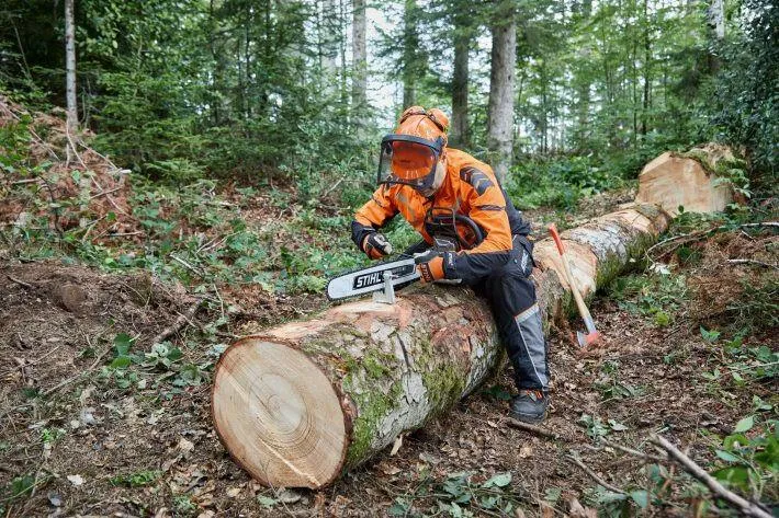 STIHL Rapide Hexa 3-71 cm - 3/8" - 31340000091