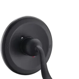 Appaso Douche Robinet ensemble Salle de bains Douche Valve Trim Kit Satiné Noir 120Mo