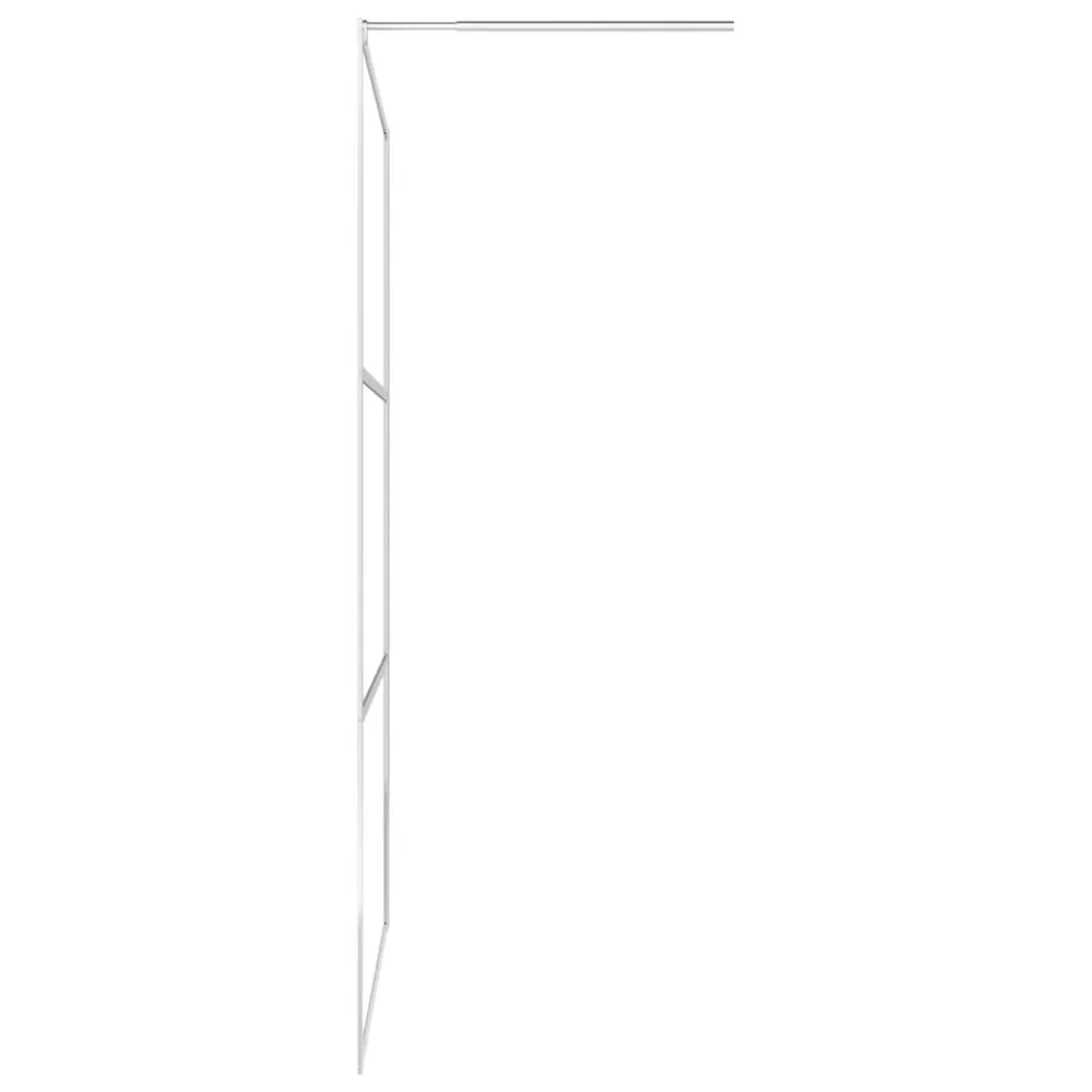 Paroi de douche à l'italienne à verre ESG demi-dépoli 100x195cm